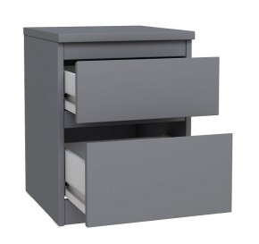 2.03.03.050.4 КАСТОР тумба 2 ящика RU серая в Салехарде - salekhard.ok-mebel.com | фото 2