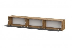 БАЙКАЛ Тумба (Графит/Дуб золотой) в Салехарде - salekhard.ok-mebel.com | фото 2