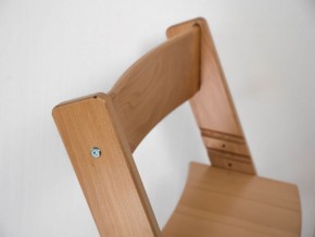Детский растущий стул из бука Премиум Конёк Горбунёк (Светлый бук) в Салехарде - salekhard.ok-mebel.com | фото 3