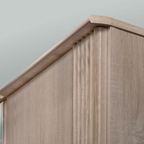ДИАНА Д11 Шкаф для одежды в Салехарде - salekhard.ok-mebel.com | фото 6