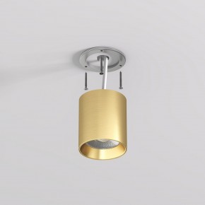 DK2610-SB Накладной светильник SHINE TUBE со светодиодом, D70*H80, IP20, 3000К, 10W, RA?90, сатинированная латунь, алюминий в Салехарде - salekhard.ok-mebel.com | фото 3