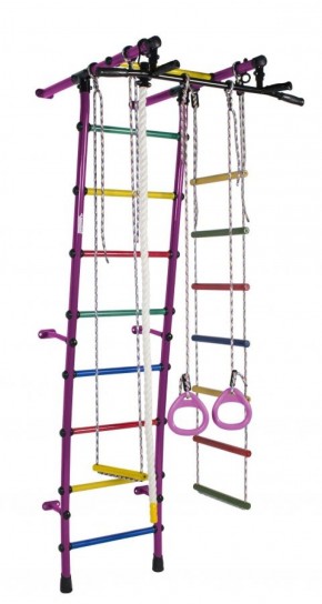 ДСК Стелла цв.фиолетовый радуга: турник, кольца, канат, трапеция, веревочная лестница в Салехарде - salekhard.ok-mebel.com | фото