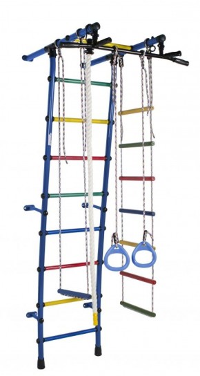 ДСК Стелла цв.синий радуга: турник, кольца, канат, трапеция, веревочная лестница в Салехарде - salekhard.ok-mebel.com | фото
