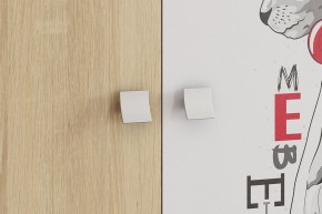 ЭНЕРДЖИ Шкаф 2-створчатый в Салехарде - salekhard.ok-mebel.com | фото 4