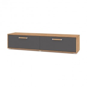 ФЛОРИДА Ф31 Тумба ТВ (дуб золотой/графит) в Салехарде - salekhard.ok-mebel.com | фото
