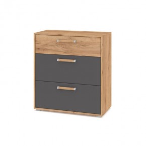 ФЛОРИДА Ф41 Комод (дуб золотой/графит) в Салехарде - salekhard.ok-mebel.com | фото