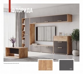 ФЛОРИДА Гостиная (модульная) дуб золотой/графит в Салехарде - salekhard.ok-mebel.com | фото