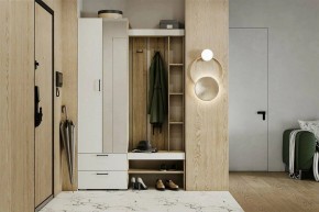 Гарнитур для прихожей Торонто в Салехарде - salekhard.ok-mebel.com | фото 5