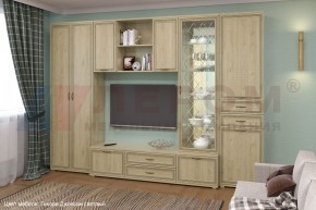 Гостиная Карина Композиция 21 (Гикори Джексон светлый) в Салехарде - salekhard.ok-mebel.com | фото 6