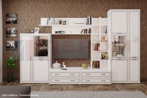 Гостиная Карина Композиция 5 (Снежный ясень) в Салехарде - salekhard.ok-mebel.com | фото