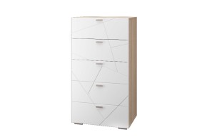 Гостиная Скайлайн (модульная) Дуб сонома/белый в Салехарде - salekhard.ok-mebel.com | фото 2
