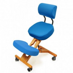 Коленный стул со спинкой Smartstool KW02В + Чехлы в Салехарде - salekhard.ok-mebel.com | фото 2