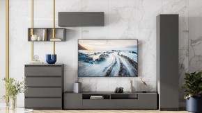 Комод Сибити в Салехарде - salekhard.ok-mebel.com | фото 5