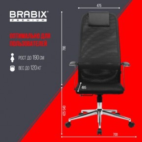 Кресло BRABIX PREMIUM "Ultimate EX-801" хром, плотная двойная сетка Х2, черное, 532917 в Салехарде - salekhard.ok-mebel.com | фото 7
