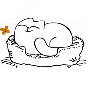 Кровать двухуровневая Кот № 900.1 ЛЕВАЯ (туя светлая/белый) в Салехарде - salekhard.ok-mebel.com | фото 2