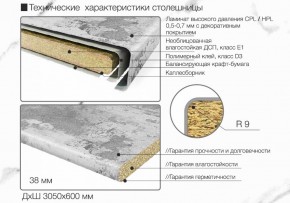 Кухонный фартук со столешницей (А-01) в едином стиле (3050 мм) в Салехарде - salekhard.ok-mebel.com | фото 6