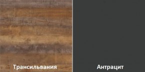 Кухонный гарнитур угловой Трансильвания 2600х1600 мм (Стол. 26 мм) в Салехарде - salekhard.ok-mebel.com | фото 3