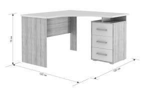 ЛАЙТ К4 Компьютерный стол в Салехарде - salekhard.ok-mebel.com | фото 6