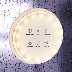 Лента светодиодная Maytoni Led strip 10105 в Салехарде - salekhard.ok-mebel.com | фото 2
