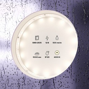 Лента светодиодная Maytoni Led strip 10106 в Салехарде - salekhard.ok-mebel.com | фото 2