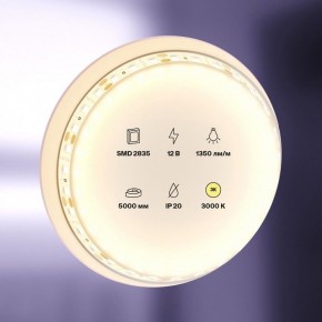 Лента светодиодная Maytoni Led strip 10114 в Салехарде - salekhard.ok-mebel.com | фото 2