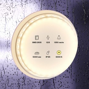 Лента светодиодная Maytoni Led strip 10117 в Салехарде - salekhard.ok-mebel.com | фото 2