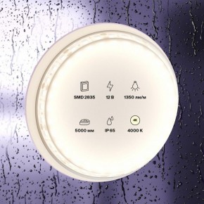 Лента светодиодная Maytoni Led strip 10118 в Салехарде - salekhard.ok-mebel.com | фото 2