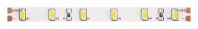 Лента светодиодная Maytoni Led strip 10138 в Салехарде - salekhard.ok-mebel.com | фото