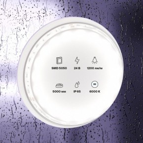 Лента светодиодная Maytoni Led strip 10173 в Салехарде - salekhard.ok-mebel.com | фото 2