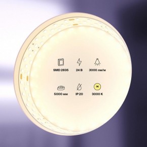 Лента светодиодная Maytoni Led strip 20031 в Салехарде - salekhard.ok-mebel.com | фото 2