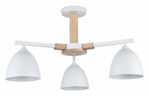 Люстра на штанге Lumion Colange 8095/3C в Салехарде - salekhard.ok-mebel.com | фото