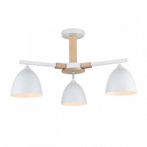Люстра на штанге Lumion Colange 8095/3C в Салехарде - salekhard.ok-mebel.com | фото 2