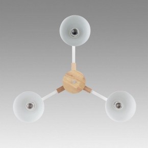 Люстра на штанге Lumion Colange 8095/3C в Салехарде - salekhard.ok-mebel.com | фото 3