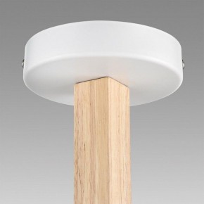 Люстра на штанге Lumion Colange 8095/3C в Салехарде - salekhard.ok-mebel.com | фото 9