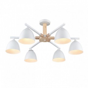 Люстра на штанге Lumion Colange 8095/6C в Салехарде - salekhard.ok-mebel.com | фото 3