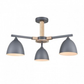 Люстра на штанге Lumion Colange 8096/3C в Салехарде - salekhard.ok-mebel.com | фото 2