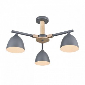 Люстра на штанге Lumion Colange 8096/3C в Салехарде - salekhard.ok-mebel.com | фото 3