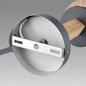 Люстра на штанге Lumion Colange 8096/3C в Салехарде - salekhard.ok-mebel.com | фото 6