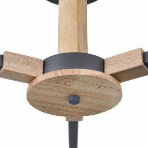 Люстра на штанге Lumion Colange 8096/3C в Салехарде - salekhard.ok-mebel.com | фото 7
