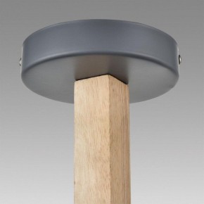Люстра на штанге Lumion Colange 8096/3C в Салехарде - salekhard.ok-mebel.com | фото 9