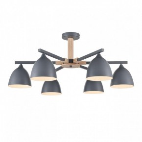 Люстра на штанге Lumion Colange 8096/6C в Салехарде - salekhard.ok-mebel.com | фото 2