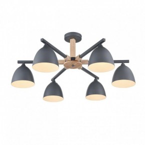 Люстра на штанге Lumion Colange 8096/6C в Салехарде - salekhard.ok-mebel.com | фото 3