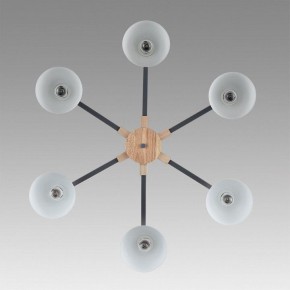 Люстра на штанге Lumion Colange 8096/6C в Салехарде - salekhard.ok-mebel.com | фото 4