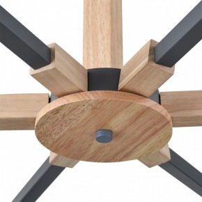 Люстра на штанге Lumion Colange 8096/6C в Салехарде - salekhard.ok-mebel.com | фото 7