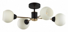 Люстра на штанге Lumion KODI 5646/4C в Салехарде - salekhard.ok-mebel.com | фото