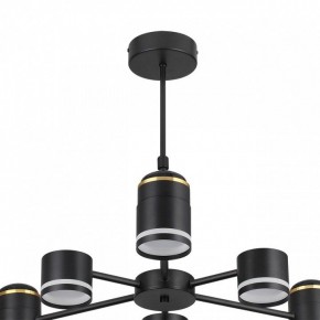 Люстра на штанге Lumion Virsava 8234/6C в Салехарде - salekhard.ok-mebel.com | фото 5