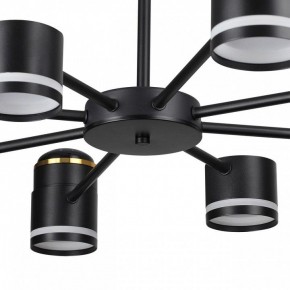 Люстра на штанге Lumion Virsava 8234/8C в Салехарде - salekhard.ok-mebel.com | фото 10