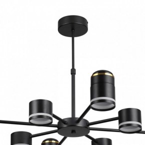 Люстра на штанге Lumion Virsava 8234/8C в Салехарде - salekhard.ok-mebel.com | фото 5