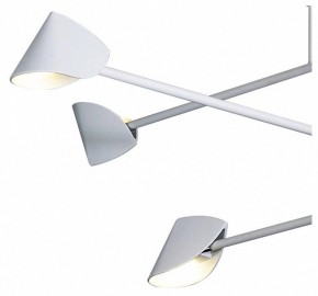 Люстра на штанге Mantra Capuccina 7570 в Салехарде - salekhard.ok-mebel.com | фото 4