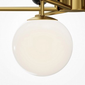 Люстра на штанге Maytoni Museo MOD436PL-07BS в Салехарде - salekhard.ok-mebel.com | фото 4